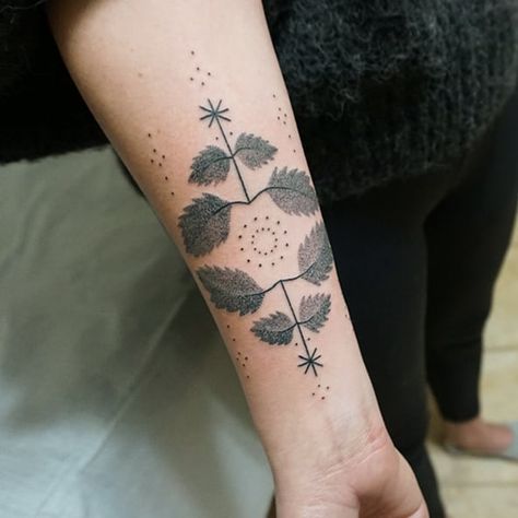 Lauren Napolitano on Instagram: “Nettles for Regina. 🌱 I have some availability in Austin in January. Please send an email if you would like to get tattooed. Thank you all…” Nettle Leaf Tattoo, Nettle Tattoo, Juniper Tattoo, 2024 Tattoo, Graphic Design Tattoos, Fun Tattoos, Leaf Tattoo, Arm Tats, Beautiful Tattoo