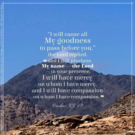 “I will cause all My goodness to pass before you,” the LORD replied, “and I will proclaim My name—the LORD—in your presence. I will have mercy on whom I have mercy, and I will have compassion on whom I have compassion.” Exodus 33:19 Exodus 33, Have Mercy, Verses Wallpaper, Bible Verse Wallpaper, The Words, Christian Quotes, The Lord, My Name, Bible Verse