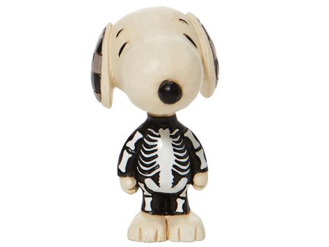 Skeleton Costume, Brown Dresses, Jim Shore, A Skeleton, A Ghost, Charlie Brown, To Win, Skeleton, Ghost