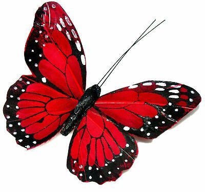 Somthing i never saw before Edible Cups, Butterfly Art Painting, Edible Cupcake Toppers, Butterfly Images, Butterfly Pictures, Edible Ink, Red Butterfly, Butterfly Drawing, Butterfly Painting