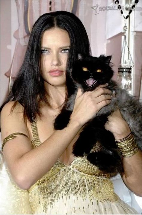 Adrina Lima, Lima Model, Celebrities With Cats, Adriana Lima Young, Adriana Lima Style, Adriana Lima Victoria Secret, Vs Models, Victorias Secret Models, Victoria Secret Angels