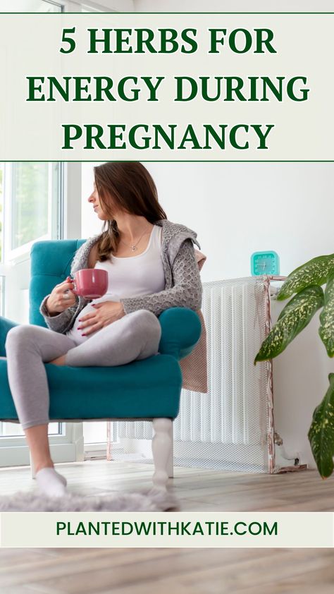 5 Herbs to Boost Energy During Pregnancy Herbs For Pregnancy, Pregnancy Herbs, Herbs For Energy, Holistic Pregnancy, Herbal Healing, Energy Boosters, Healing Herbs, Natural Energy, Women's Health