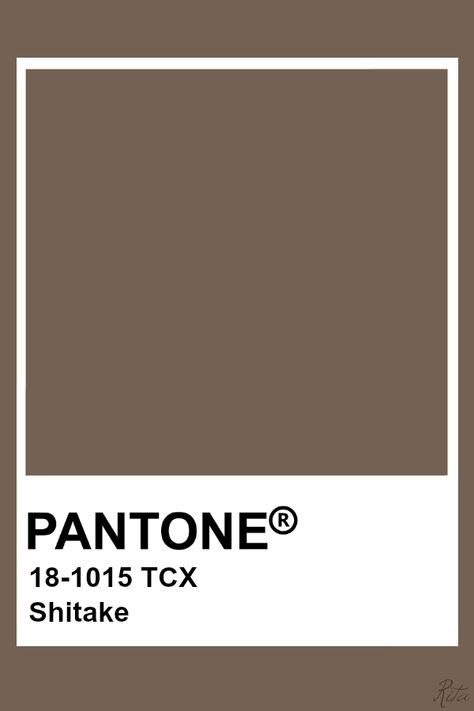 Pantone Shitake Brown Pantone, Highlight Colors, Pallet Color, Colour Names, Pantone Colours, Pantone Color Chart, Pantone Swatches, Sepia Color, Pantone Palette