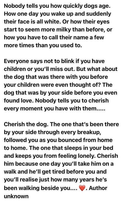 Quotes For When Your Dog Dies, My Dog Died Quotes, Aging Dog Quotes, What To Say When A Pet Dies Dogs, Quotes About Dogs Passing, Childhood Dog Passing Quotes, Sayings About Dogs Passing, Losing A Pet Quotes, Quotes For Pets That Have Died