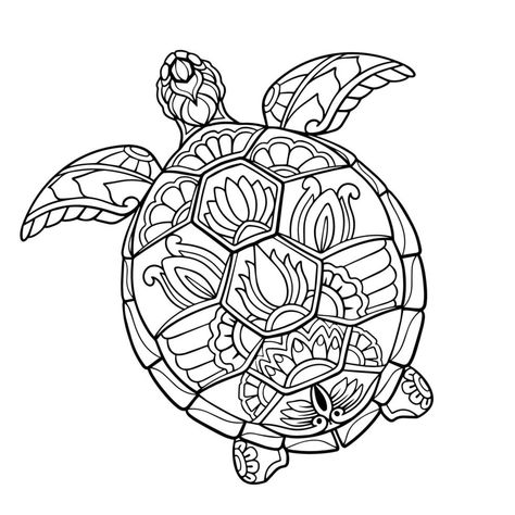 Coloring Pages Turtle, Mandala Arts, Mandala Turtle, Mandala Coloring Pages, Mandala Coloring, Mandala Art, Vector Art, White Background, Coloring Pages