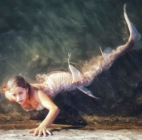 Red Mermaid Tail, Bale Dance, Realistic Mermaid Tails, Realistic Mermaid, Mermaid Names, Mermaid Photography, Silicone Mermaid Tails, Fantasy Mermaids, Mermaid Swimming