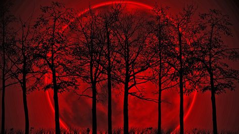 Pre-Halloween Blood Moon: October’s Full Lunar Eclipse Bigger And ... Extraordinary Wallpaper, Blood Red Moon, Impressive Wallpaper, Red Wallpapers, 1366x768 Wallpaper, Wallpapers Dark, Glowing Moon, Backgrounds Dark, Red And Black Wallpaper