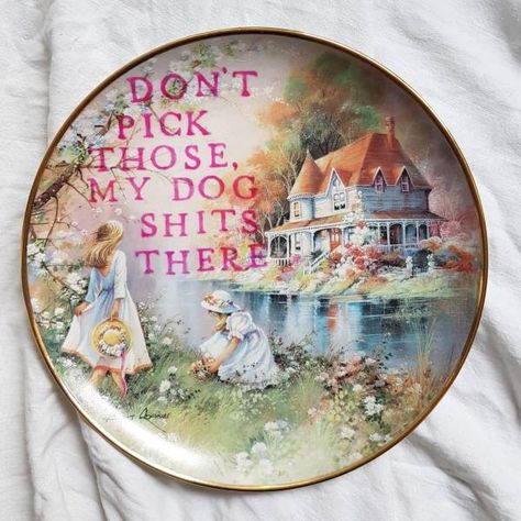 Decorative Plates Diy, Wicked Crafts, Rock Quotes, Bad Humor, Plates Diy, Crazy Quotes, Too Good To Be True, Craft Markets, Wall Plates