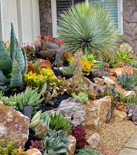 Succulent Rock Garden Landscaping, Cactus Garden Design, Cactus Garden Landscaping, Modern Gardening, Succulent Rock Garden, Succulent Garden Landscape, Succulent Display, Succulent Landscape Design, Drought Tolerant Garden