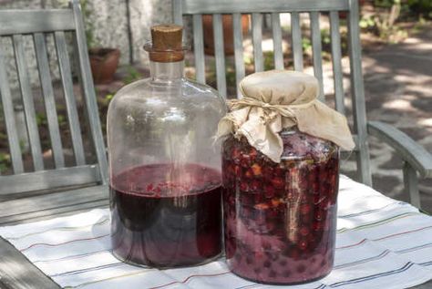 You may have heard about a cheap, quick way to make a kind of homemade alcohol. Often called "hooch" it is defined as an alcoholic liquor, especially inferior, or an illicit whiskey. Hooch can go by many different names, including pruno, hooch, brew, prison wine, and buck. How To Make Moonshine, Saskatoon Berry, Homemade Alcohol, Wild Yeast, Jungle Juice, Home Canning, Alcohol Recipes, Medicinal Herbs, Ok Ru