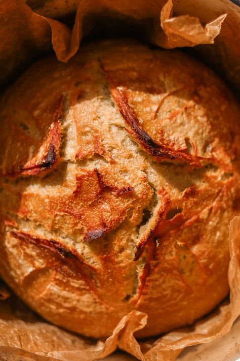 Discover the rustic charm and amazing flavors of sourdough einkorn bread. This recipe blends organic einkorn flour with organic bread flour for the best results. #einkorn #bread #sourdough Einkorn Sourdough Bread Recipe, Sourdough Einkorn Bread, Einkorn Flatbread, Einkorn Sourdough Bread, Sourdough Einkorn, Einkorn Sourdough, Einkorn Bread, Einkorn Recipes, Bread Toppings