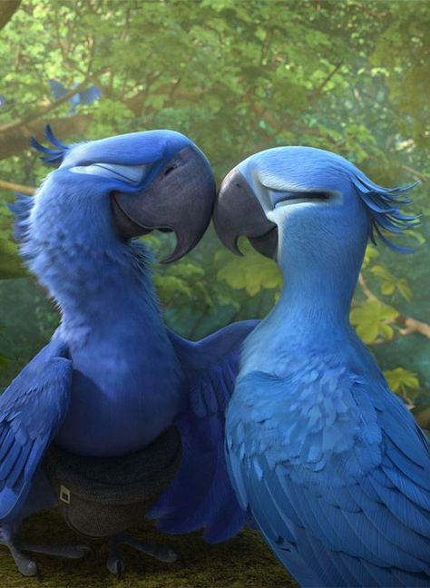 Rio Aesthetic Movie, Rio Movie Aesthetic, Rio Pfp, Carnival Aesthetic, Rio Movie, Rio 2, Disney Characters Wallpaper, Cute Disney Pictures, Blue Birds