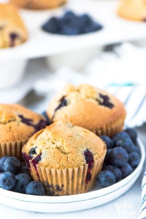 gluten free blueberry muffins Blueberry Muffins No Egg, Egg Free Banana Muffins, Egg Free Muffins, Gluten Free Muffin, Blueberry Protein Muffins, Gluten Free Blueberry Muffins, Vegan Blueberry Muffins, Homemade Blueberry Muffins, Cinnamon Breakfast