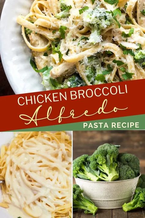 It takes just 30 minutes to create this fresh and delicious creamy Chicken and Broccoli Alfredo recipe. This pasta dish is a family favorite and uses the following simple yet tasty ingredients: fettuccine, rotisserie chicken, frozen broccoli, garlic, cream cheese, and of course a sprinkling of Parmesan. Chicken Broccoli Alfredo Pasta, Creamy Chicken And Broccoli, Broccoli Alfredo Pasta, Chicken And Broccoli Alfredo, Garlic Cream Cheese, Chicken Broccoli Alfredo, Food Scales, Fettuccine Noodles, Pasta Recipes Alfredo