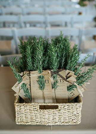 Wedding Program Examples, Pine Tree Wedding, Herb Wedding, Wedding Tree Decorations, Wedding Ceremony Readings, Wedding Ceremony Programs, בר מצווה, Ceremony Programs, Program Ideas