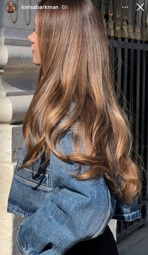 Rambut Brunette, Honey Brown Hair, Dreamy Aesthetic, Brown Hair Looks, Brown Hair Inspo, Hair 2024, Honey Brown, Hair Inspiration Color, Hair Inspo Color