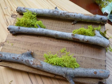 Craft Fair Displays Jewelry, Moss Display Jewelry, Driftwood Display Stand, Branch Earring Display, Jewelry Display Ideas Diy Tree Branches, Log Earring Display, Driftwood Earring Display, Driftwood Necklace Display, Rustic Jewelry Display