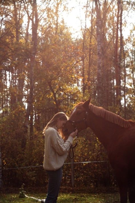 Autumn Horse, Sun Outfit, Horse Riding Aesthetic, Pictures With Horses, Equine Therapy, Autumn Sun, Horse Aesthetic, Forest Pictures, Horse Ranch