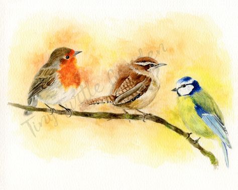 10 Flowers, Chickadee Bird, Bird Watercolor, Red Robin, Bird Painting, Watercolor Painting Techniques, Bird Drawings, Watercolor Bird, Little Birds