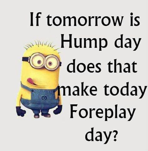 Tease Me Tuesday Quotes, Hump Day Quotes Funny, Funny Qotes, Hump Day Quotes, Hump Day Humor, Memes Dirty, Funny Flirty Quotes, Fishing Storage, Tuesday Humor