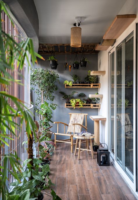 A balcony full of plants, bamboo shelves and furniture and ofcourse the cat play area ❤️ It’s a mood 😍 Balcony Shelves, Minimalist Bachelor Pad, Shelves Plant, Cat Play Area, Bamboo Shelf, Cat Plants, Cat Shelves, Bachelor Pad, Balcony Design