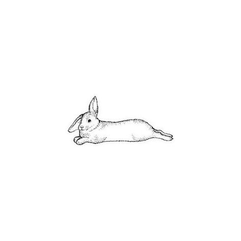 Bunny Laying Down Tattoo, Tattoo Rabbit, Hase Tattoos, Bunny Tattoo, Bunny Tattoos, Rabbit Tattoos, Bunny Drawing, House Rabbit, Badass Tattoos