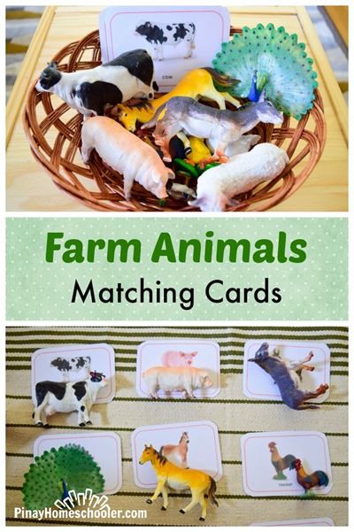 Farm Week, Farm Animals Preschool, Farm Animals Activities, Preschool Farm, Farm Theme Preschool, Farm Animal Crafts, Farm Animals Theme, Farm Unit, Farm Preschool