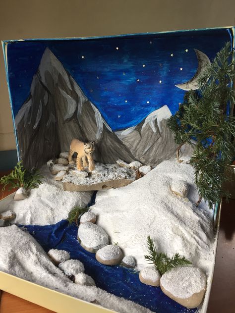 2 grade Diorama project Arctic Tundra Ecosystem Project, Mountain Habitat Project, Tundra Shoebox Project, Shoe Box Art Projects, Tundra Habitat Project, Diorama Ideas Scene, Mountain Biome Project, Wolf Diaroma, Diorama Box Ideas