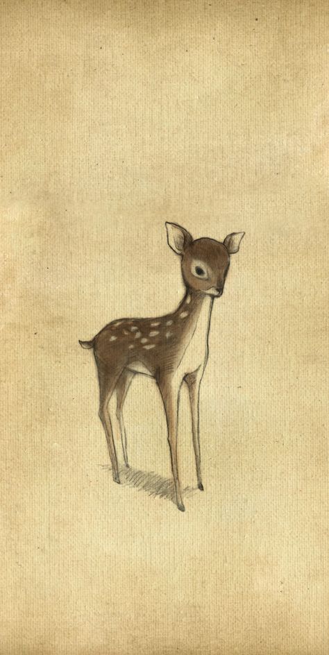 Fawn Wallpaper, Deer Drawing, Deer Illustration, Deer Tattoo, Oh Deer, A Deer, Baby Deer, Baby's Room, Pics Art