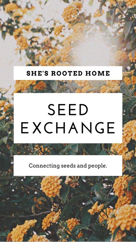 Do you enjoy gardening and want to connect with others who share your passion? Or are you a beginner gardener who would love to learn from those successfully growing in your zone? She’s Rooted Home Seed Exchange was created to build a community of growers sharing their passion and knowledge with other aspiring gardeners in their growing zone. Seed Exchange, Companion Gardening, Benefits Of Gardening, Gardening Zones, Building Community, Food Swap, Thriving Garden, Seed Saving, Organic Living