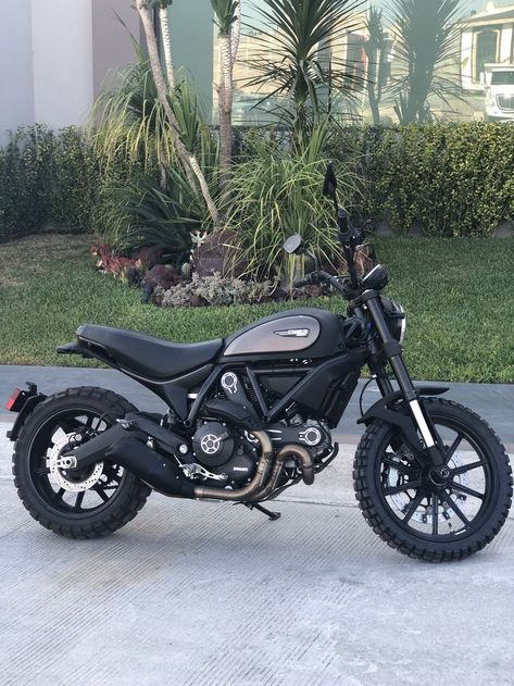 Ducati Scrambler Cafe Racers, Ducati Icon, Ducati Scrambler Icon, Ducati Scrambler Custom, Script Dr, Scrambler Icon, Ducati Motorbike, Moto Scrambler, Moto Ducati