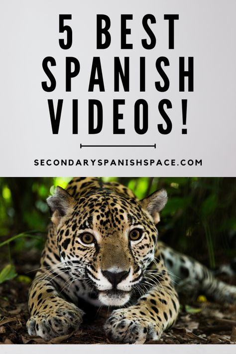 Teach Yourself Spanish, Spanish Animals, Spanish Classroom Activities, Spanish Conversation, Spanish Movies, Spanish Basics, Homeschool Spanish, Spanish Lessons For Kids, Middle School Spanish