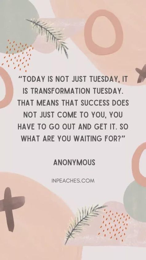 Tuesday Motivation Humor, Transformation Tuesday Quotes, Transformational Tuesday, Tuesday Motivation Inspiration, Tuesday Thoughts, Man Motivation, Positive Daily Quotes, Better Everyday, Spiritual Motivation