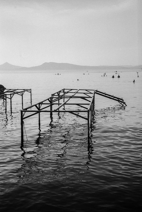 bw summer Olympus 35RC Fuji Acros 100 film analog olympus 35rc 35mm acros Olympus 35rc, My Images, Film, Black