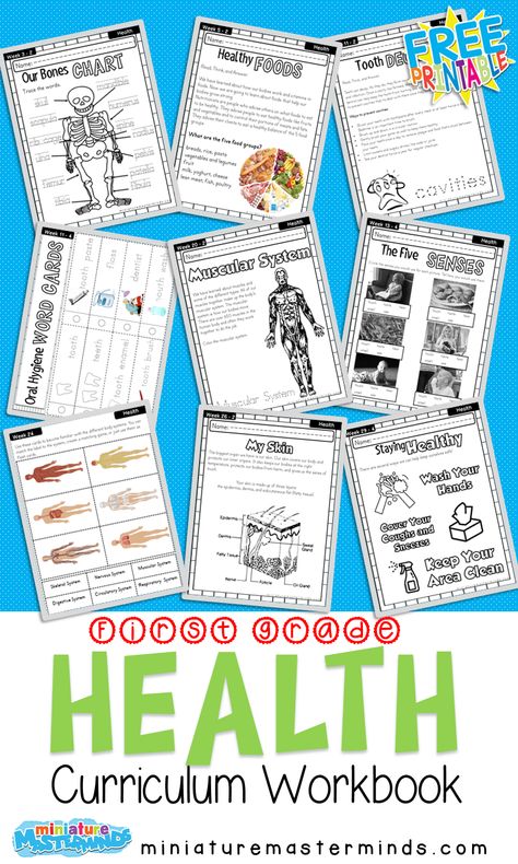 First Grade Curriculum Health Workbook Free Printable – Miniature Masterminds 2nd Grade Science Curriculum, First Grade Homeschool Curriculum, Grade 1 Curriculum, Homeschool First Grade, Homeschooling First Grade, First Grade Curriculum, Book Miniature, First Grade Lessons, Free Homeschool Printables