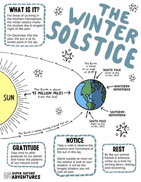 Winter Solstice Southern Hemisphere, Winter Solstice Celebration, Winter Unit, Solstice Celebration, Animals And Plants, Winter Preschool, Holidays Around The World, Homeschool Learning, Winter Nature