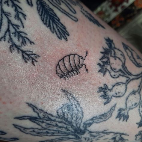 Unique Bug Tattoo, Stick And Poke Tattoo Leg, Bug Stick And Poke, Pillbug Tattoo, Bug Sleeve Tattoo, Stink Bug Tattoo, Simple Bug Tattoo, Small Bug Tattoo, Small Grunge Tattoos