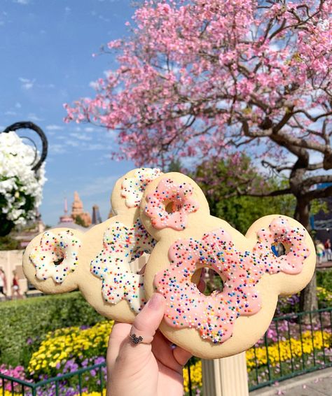 @disneyhungry Disney Sugar Cookies, Disney Sweets, Disney Desserts, Disney Cute, Disneyland Food, Disney Treats, Disney World Pictures, Giant Cookie, Disney World Food