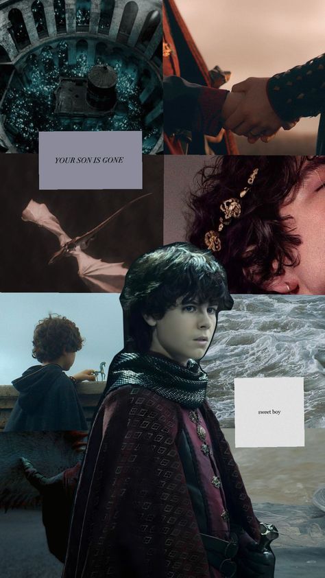 Lucerys Velaryon Lucerys Velaryon Aesthetic, Luke Velaryon, Lucerys Velaryon, Targaryen Art, House Targaryen, House Of Dragons, Nerd Stuff, Aesthetic Backgrounds, Dark Fantasy Art