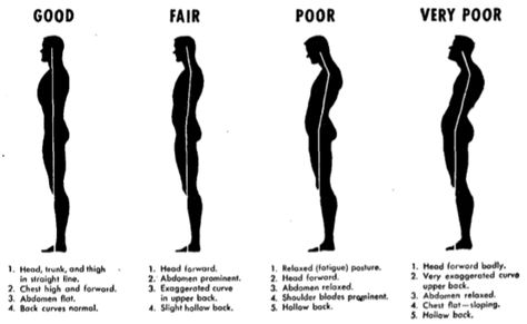 posture : The characteristics of good posture are head balanced and erect, chest held high without tension, abdomen flat, shoulders back and relaxed, lower back only slightly curved, and knees straight but not stiff. Posture Fix, Forward Head Posture, Posture Exercises, Diy Kosmetik, Relieve Back Pain, Bad Posture, Better Posture, Poor Posture, Posture Correction