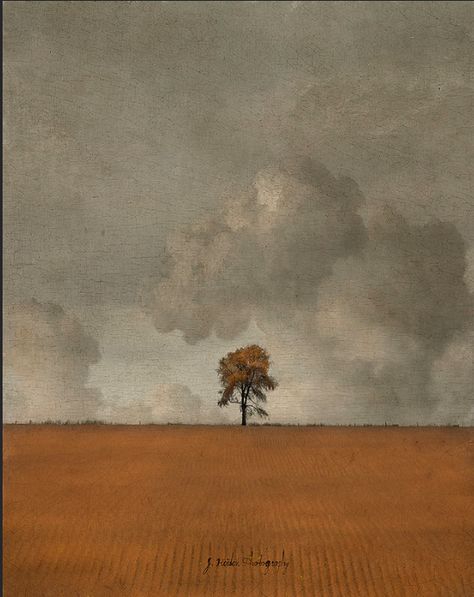 Extra Ordinary by Jamie Heiden Jamie Heiden, Lone Tree, Landscape Drawings, Aesthetic Painting, Happy Weekend, Tree Art, A Tree, Painting Inspiration, Classic Art