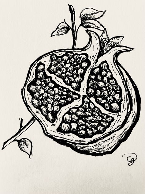 Pomagranet Art, Pomegranate Tattoo Linework, Pomegranate Line Drawing, Pomogranette Drawing, Pomegranate Sketch, Pomegranate Tattoo Black And White, Pomegranate Line Art, Black And Grey Pomegranate Tattoo, Pomegranate Art Black And White