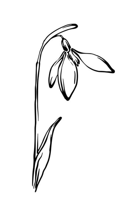 Hand drawn snowdrop flower black and white freehand line drawing, Floral design element. Vector  illustration. Simple Snowdrop Drawing, Snowdrop Line Drawing, Snowdrop Drawing, Sketch Icon, Easy Flower Drawings, Pencil Drawings Of Flowers, Decor Logo, Flower Line Drawings, Flower Outline