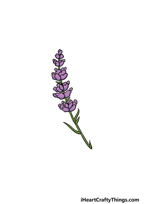 How to Draw Lavender – A Step by Step Guide Lavender Flower Drawing Simple, Lavender Plant Drawing, Lavender Flower Drawing, Lavender Sketch, Draw Lavender, Lavender Drawing, Drawing Purple, Plant Sketch, Kinds Of Flowers