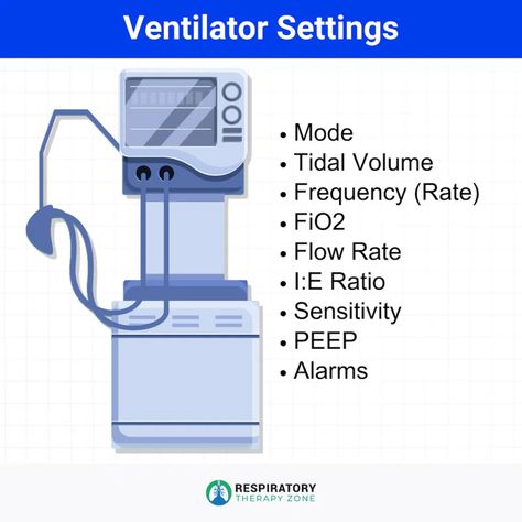 Ventilator Settings: Overview, Types, and Uses (2024) Mechanical Ventilation Nursing Notes, Respiratory Ventilation, Respiratory Volumes And Capacities, Ventilator Settings, Ventilator Modes, Respiratory Therapy Student, Mechanical Ventilation, Infographic Illustration, Respiratory Therapy