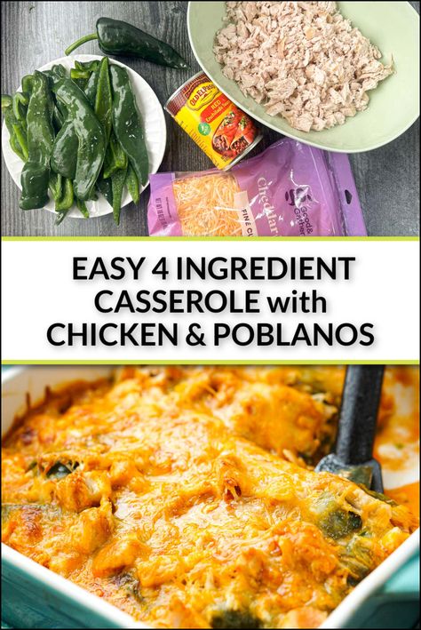 Easy Poblano Pepper Recipes, Recipes With Poblano Peppers, Chicken And Poblano Recipes, Chicken Poblano Enchiladas, Poblano Casserole, Pablano Pepper Recipe, Poblano Chicken Enchiladas, Poblano Recipes, Pepper Recipes Healthy