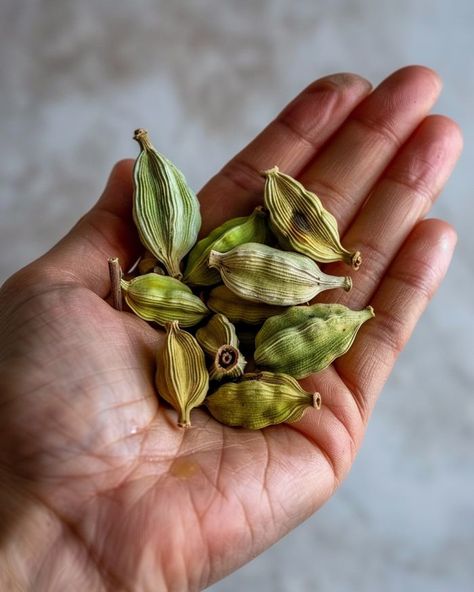 Grow cardamom at home in container. Here's the step-by-step guide Cardamom Plant, Painting Themes, Design Garden Ideas, Desserts Fruit, Recipes Fruit, Spice Garden, Fruit Fruit, Salad Fruit, Dessert Aux Fruits