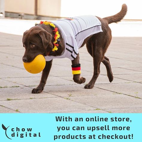 With an online store you can upsell more products at checkout  #upsell #products #onlineshopping #customers #bigcommerce #shopify Baby Hangers, Dog Toys Indestructable, Dog Store, Labrador Puppy, Labrador Dog, Pet Life, Funny Dog Videos, Happy Animals, Dog Trainer