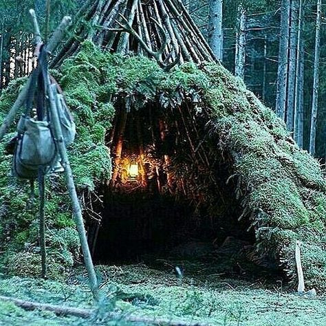 A simple and cozy shelter made out of moss and branches for the night. Double tap the image to show the love.  #bushcrafting #wildernessnation #explore #exploring #adventures  Visit Survival Life TODAY for more bushcrafting facts and survival news. Click the #linkinbio  Repost from @globaloutdoorsurvivalclub  Photo by @married2nature Bushcraft Projects, Bushcraft Shelter, Bush Craft, Finding Neverland, Bushcraft Camping, Survival Shelter, Camp Life, Survival Life, Wilderness Survival