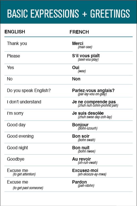 French - Basic Expressions & Greetings | Flickr - Photo Sharing! Greetings In French, French Gcse, France Language, Studying French, Gcse French, French Language Basics, French Greetings, Useful French Phrases, Learn French Beginner